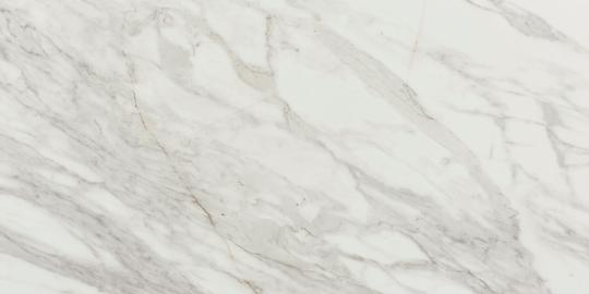 Carrara marmori, 0023EM