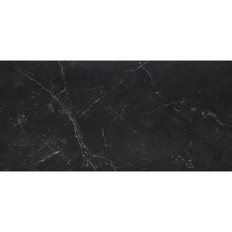 Marquina marmori, 1017XI