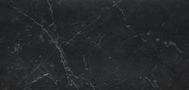 Marquina marmori, 1017XI
